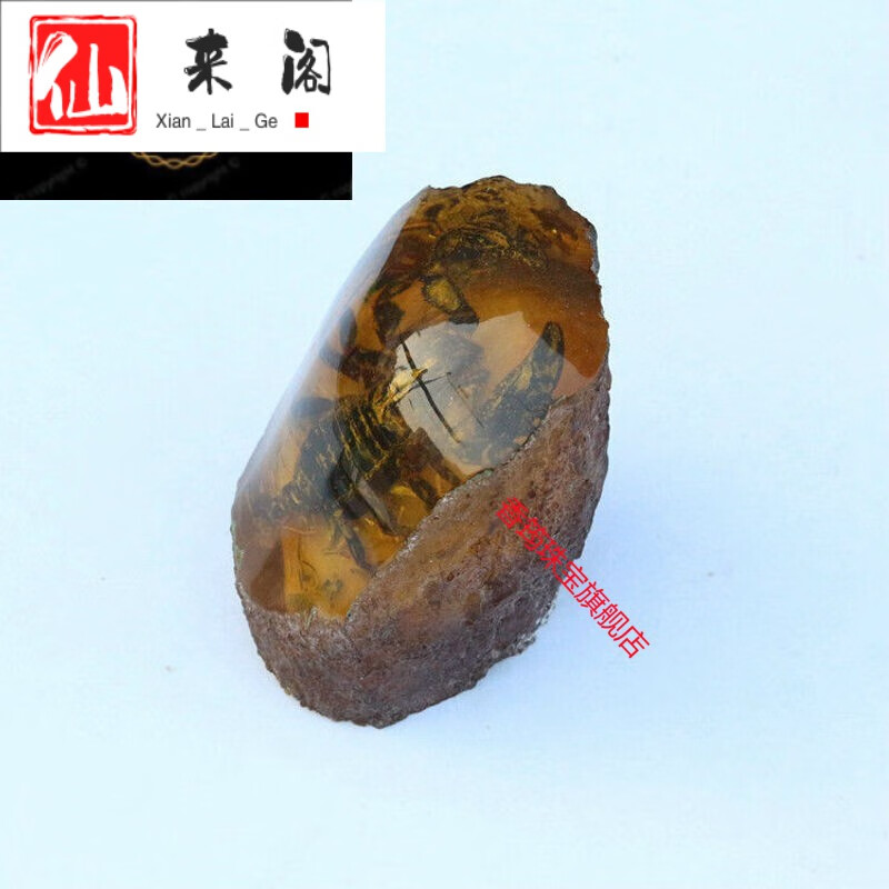 仙来阁  人工琥珀原石 动物带虫虫子标本昆虫真珀人造蜜蜡 摆件 图片