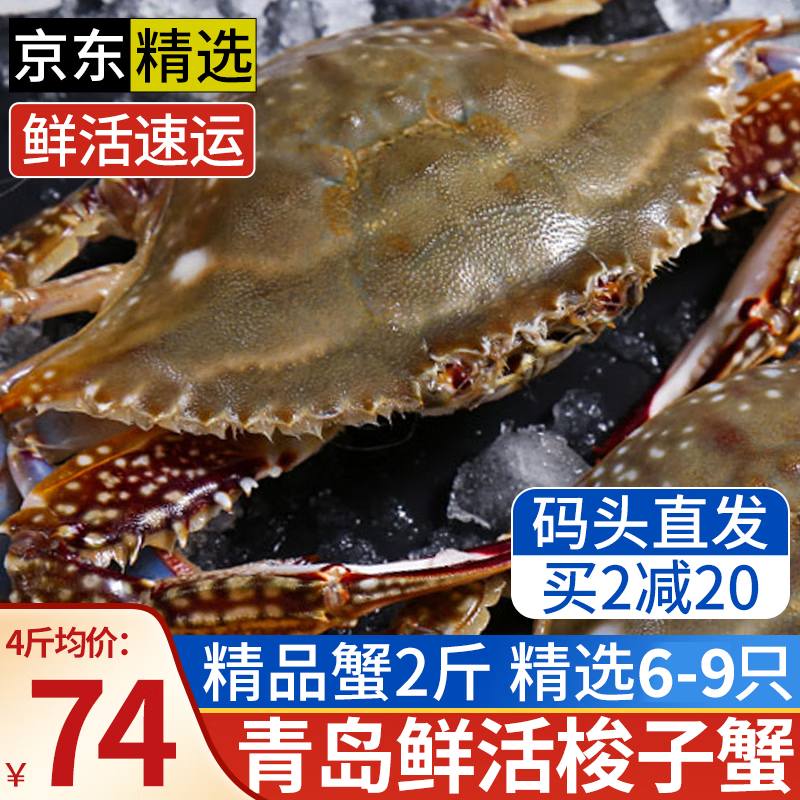 青岛梭子蟹鲜活螃蟹 海蟹花蟹飞蟹母蟹 超大蟹类海鲜 鲜活-高品质3斤9-12只