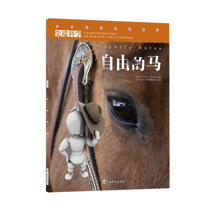 寻宝记系列31秘鲁寻宝