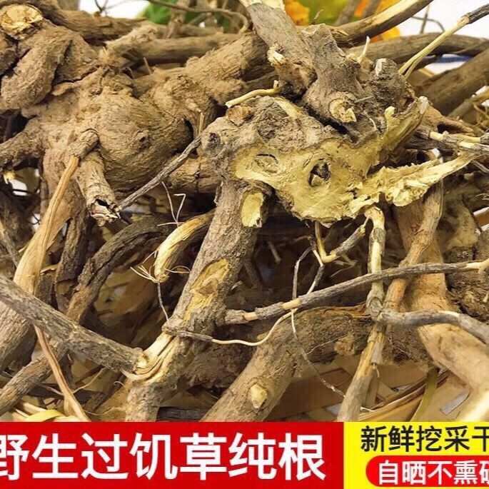 福建闽南毛将军过饥草根野生兔子耳过枝草土丁桂白头翁山白芷 l斤