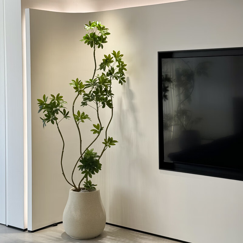 森空間仿真綠植鴨腳木奶油室內(nèi)客廳大型落地裝飾擺件盆栽假樹軟裝假植物 鴨腳木180cmC款+梨形花盆28*42
