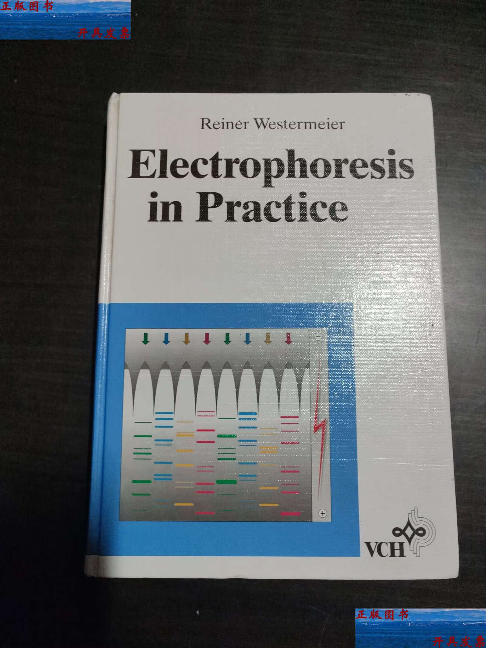 【二手9成新】electrophoresis in practice电泳实践 /不详 不详