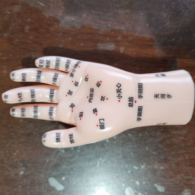 小儿推拿穴位模型全软胶模型月嫂培训娃娃中医人体经络全身穴位图按摩