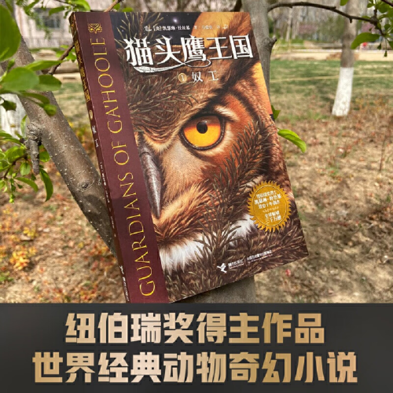 正版童书 猫头鹰王国系列1  奴工