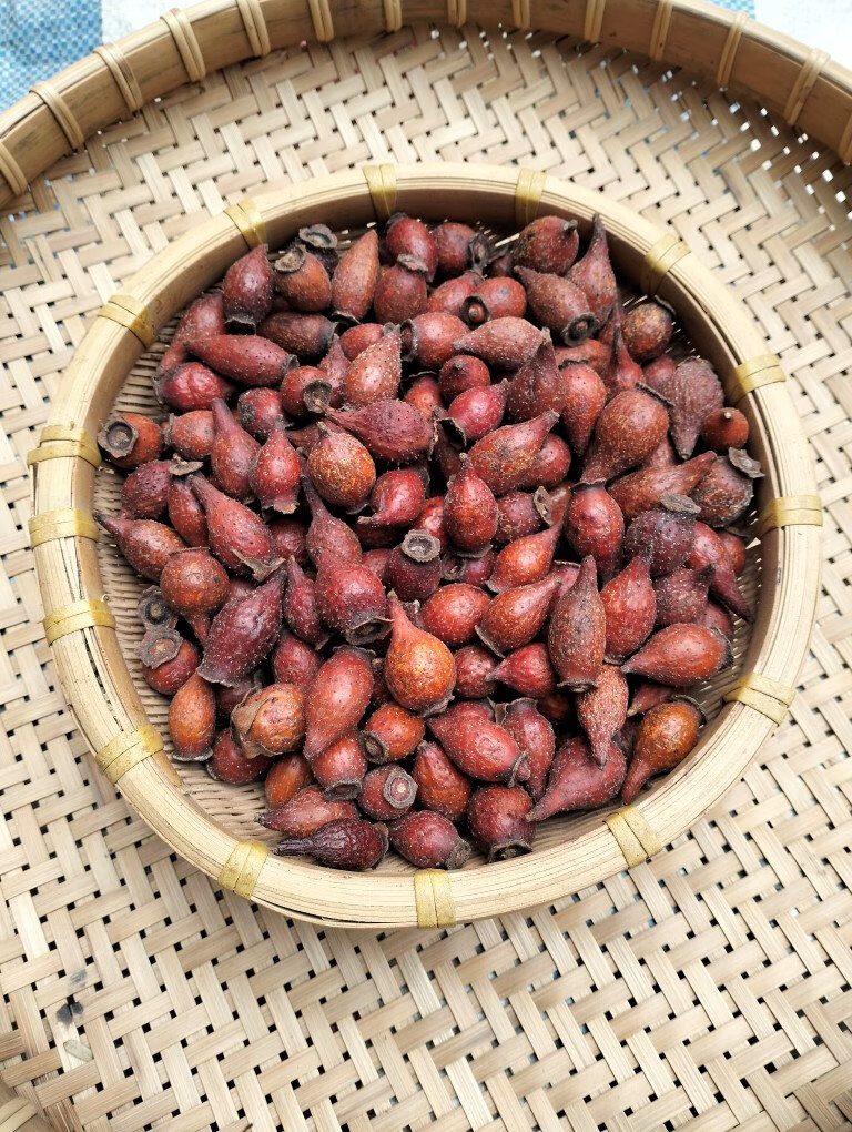 金樱子干品 大中药材泡酒刺梨子 山石榴 鸡头子自然晒干