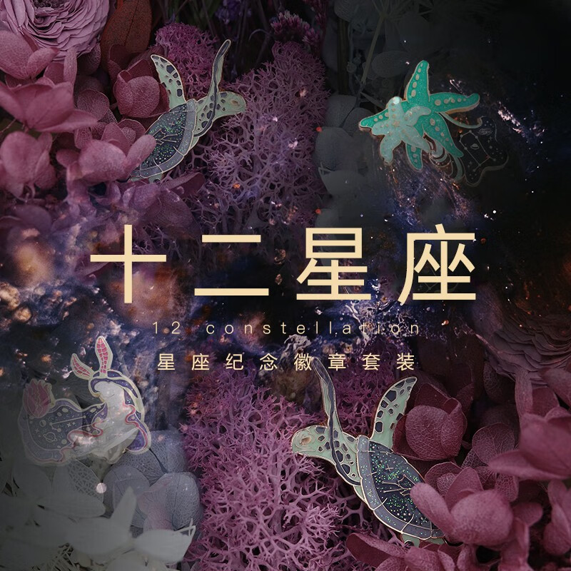 十二星座胸针套装(12枚徽章)