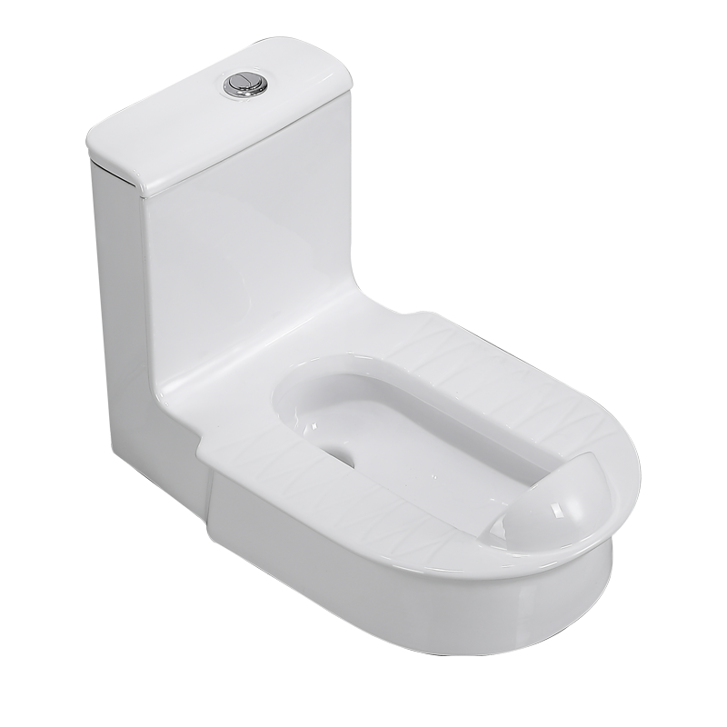 蹲坐两用一体明装直冲式免砌台不带弯管双用坐便器防溅防臭蹲马桶
