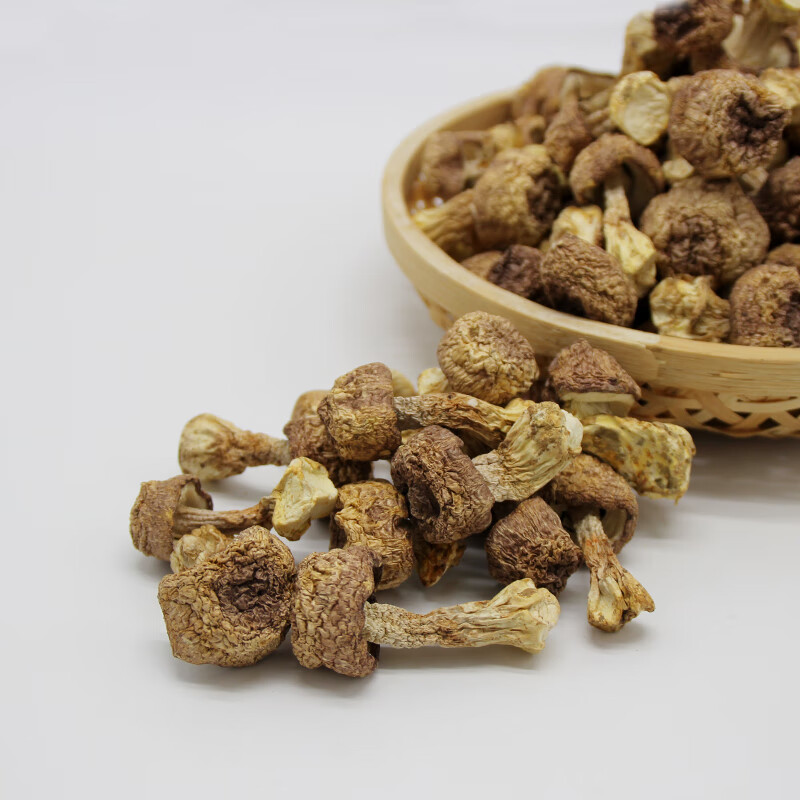 禾澹姬松 茸干货云南土特产食用菌菇巴西菇本色无硫500g