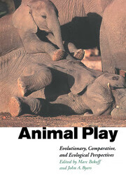 预订 Animal Play