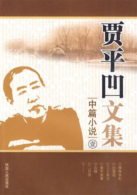 贾平凹文集:中篇小说壹【正版好书,下单速发】