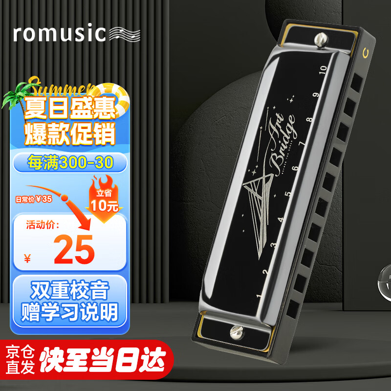 romusic10孔布鲁斯口琴成人儿童演奏款黑色C调