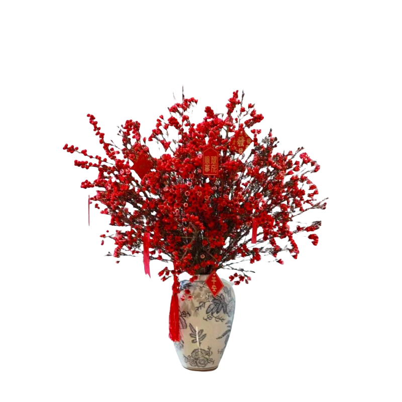 ���ڲ��������Ű�����÷�ʻ�ˮ����֦��֦�滨�����������ڹ��껨������÷���л� ϲ���-A��������÷1��