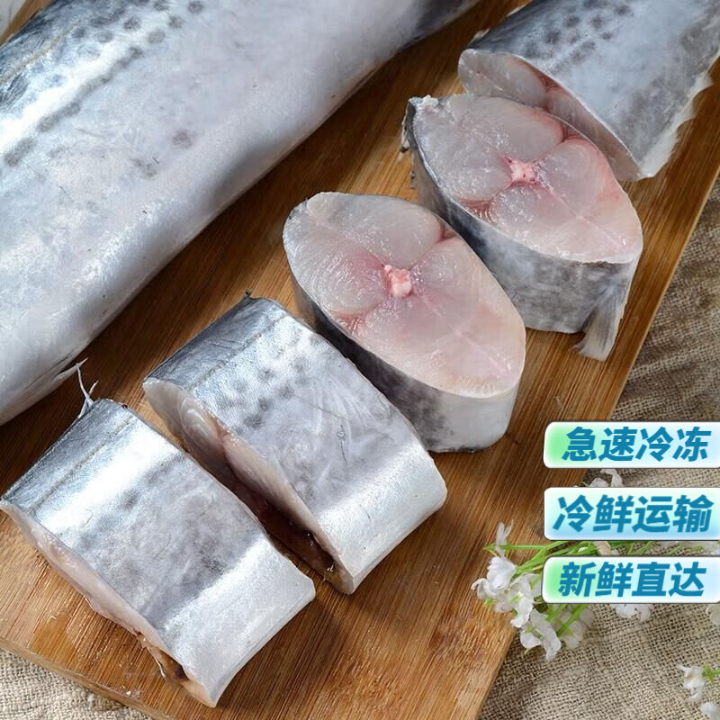 海捕鱼冷冻海鲜水产深海燕尾鲅青岛大鲅鱼马鲛鱼 500g去内脏鲅鱼块