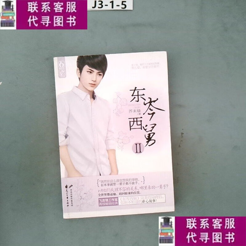 【二手9成新】东岑西舅2 /芥末绿 花山文艺出版社