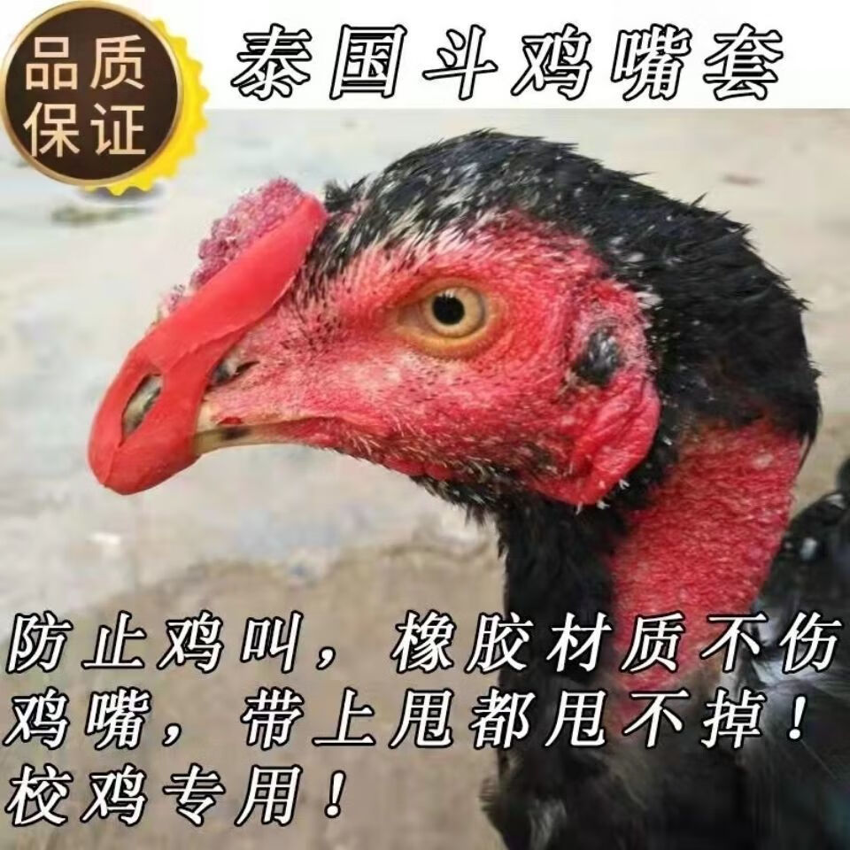 斗鸡用品 斗鸡嘴套 斗鸡护具 硅胶嘴套 鸡叫嘴套 斗鸡护具