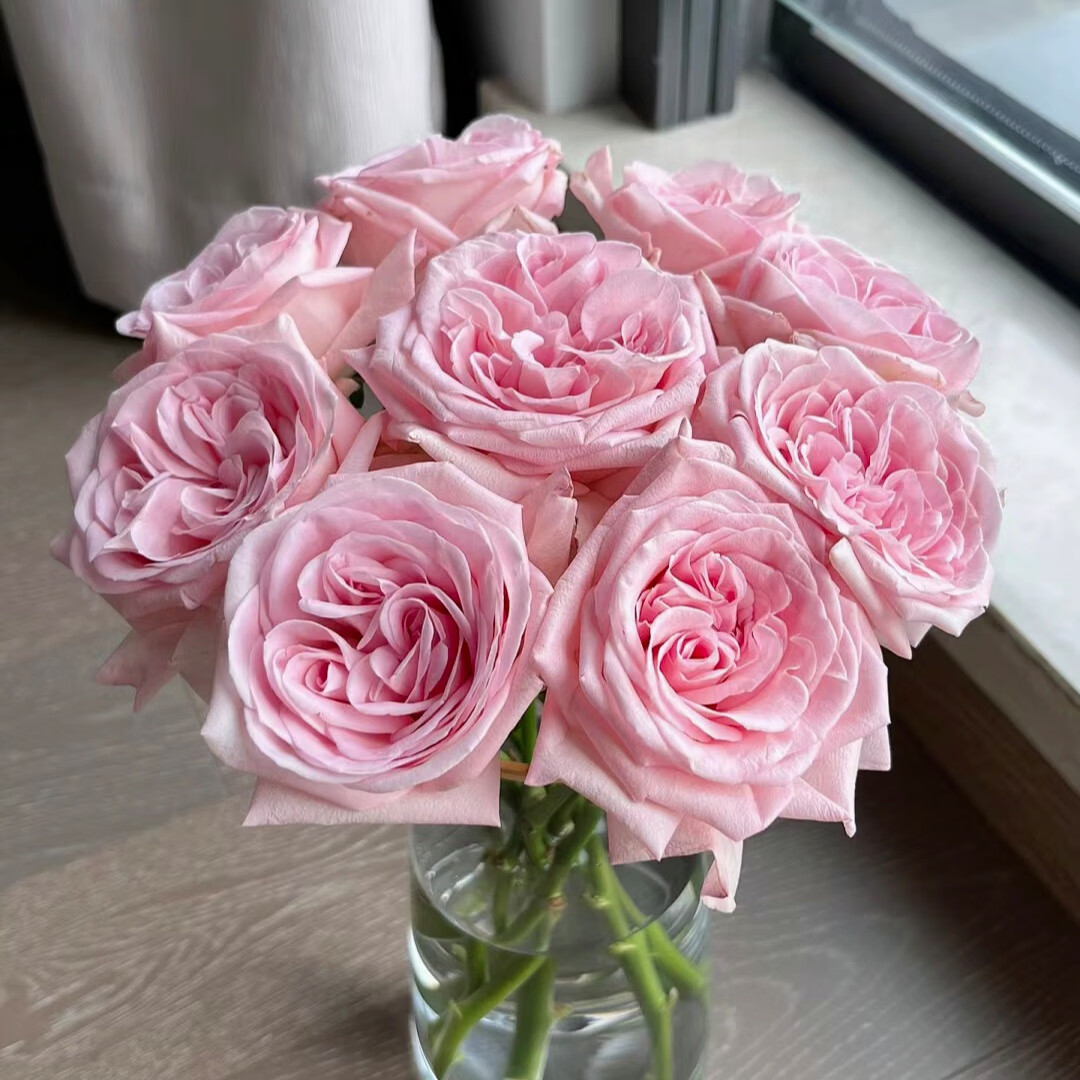 昆明基地鲜花批发 玫瑰真花  520母亲节同城配送 【sf空配】香水宝塔