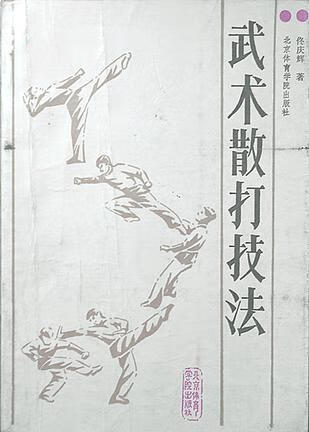 【正版精选】武术散打技法