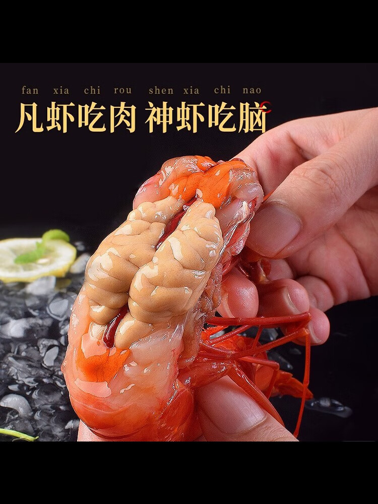 特产优联 进口红魔虾 500g 刺身大甜虾海鲜生吃即食西班牙冷冻刺身虾