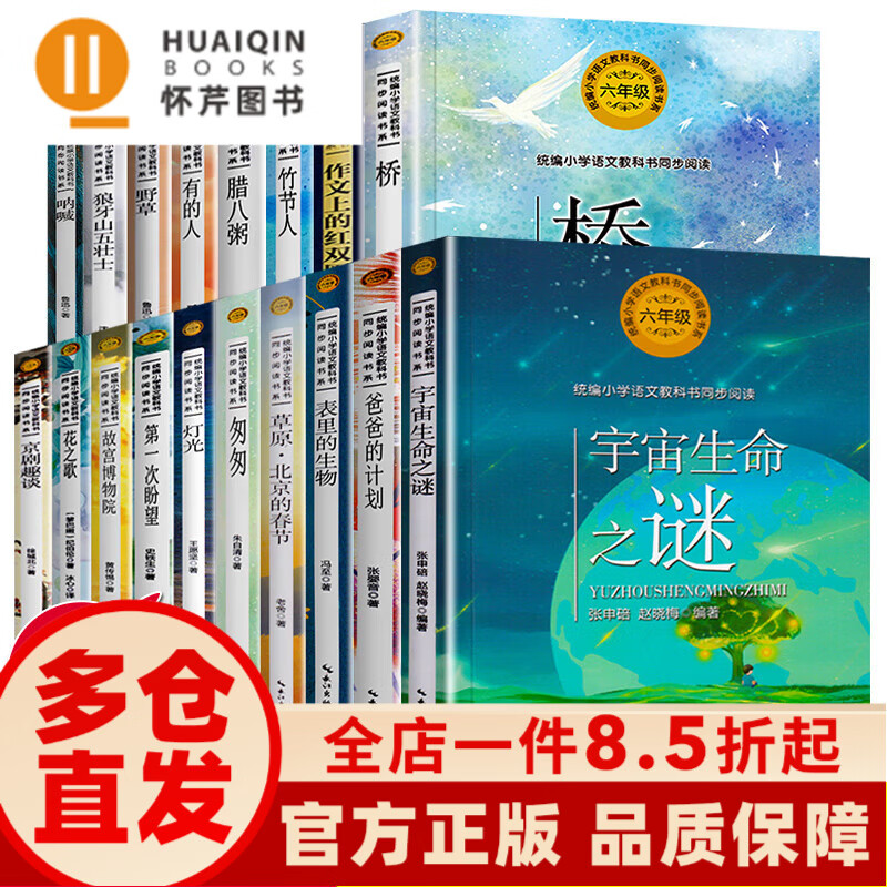 灯光花之歌儿童文学书籍统编小学语文教科书 六年级必读课外书全套 无