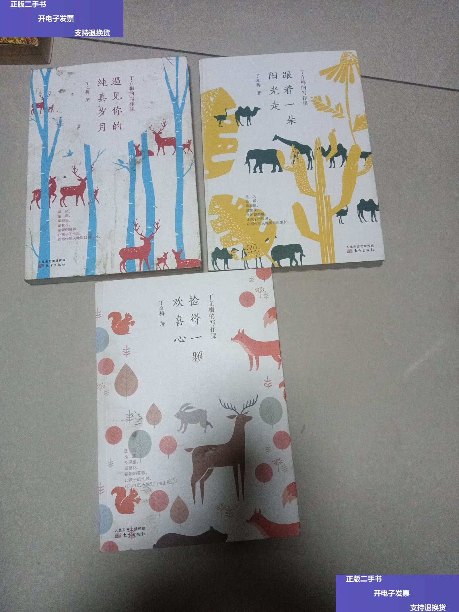 【二手9成新】丁立梅的写作课:套装三册 /丁立梅 东方
