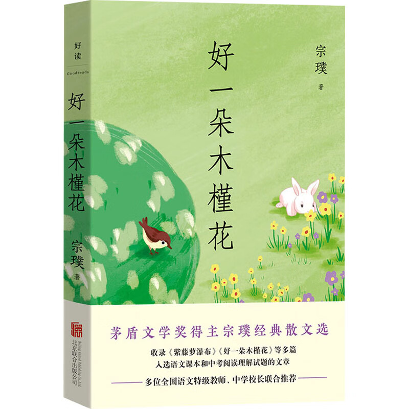 好一朵木槿花 宗璞 著 wx 图书