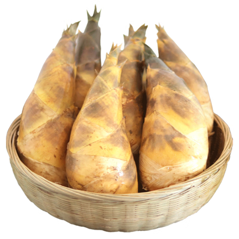 青尊园临安天目冬笋新鲜现挖野生毛竹笋农家野生新鲜竹笋 1斤 精选