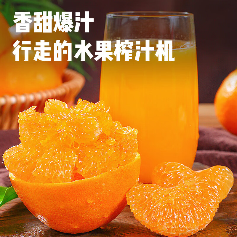 菲农正宗四川春见耙耙柑10斤新鲜水果当季整箱丑粑粑橘子源头直发  5斤【80%选择-划算】净4.8斤 春见耙耙柑中果