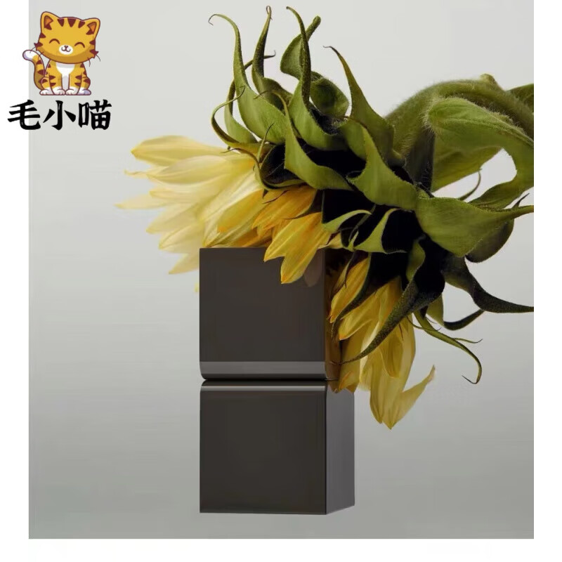 株式会社tamburinsgiktamburins固体香膏 jennie chamo一丝慰籍 6.