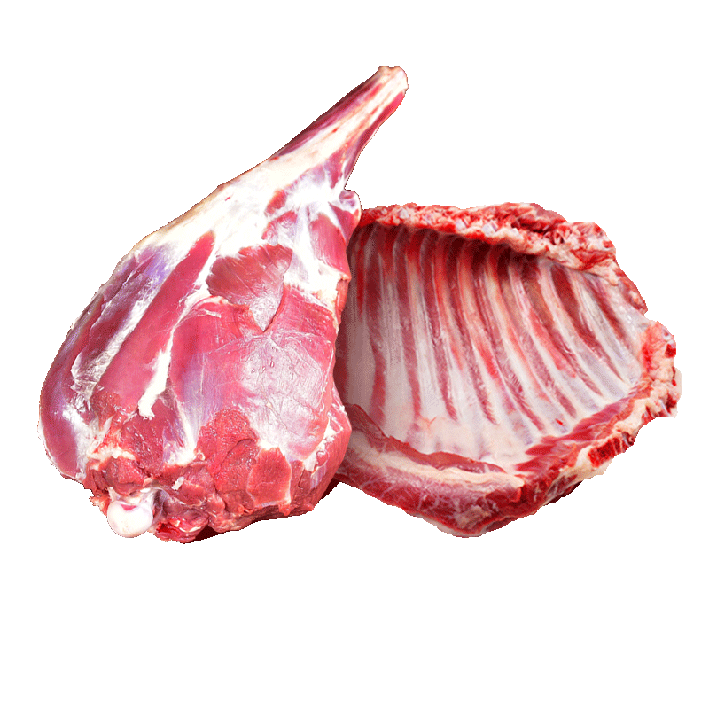 ��С��������̲�������� �����������10���������Ʒ��ȯ �Ź������� 408Ԫ