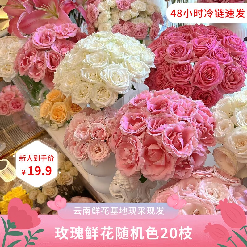 京东鲜花随机色玫瑰20枝颜色品种随机昆明直发鲜花送女朋友节日礼物