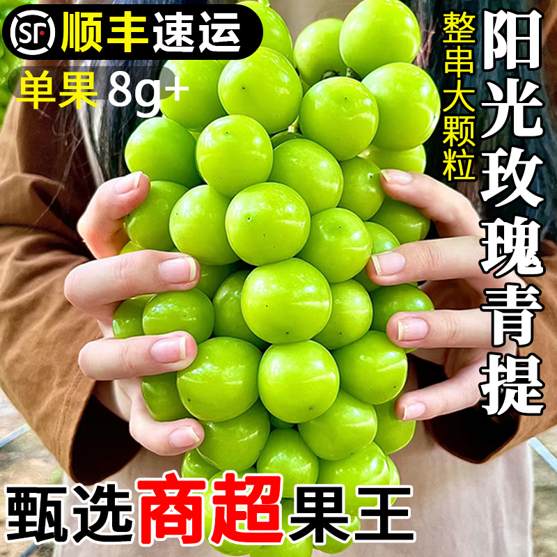 采缇(caiti)阳光玫瑰葡萄5斤晴王新鲜水果当季葡萄香