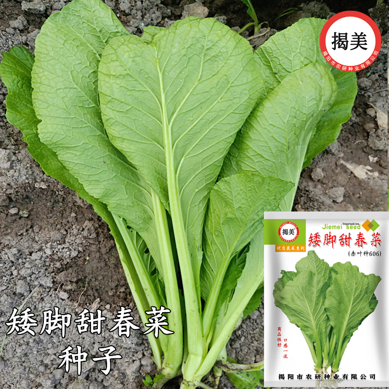 �������ǰ����𴺲����� �𴺲˽���� ����̦���� ��̨ũҵ�߲� �������Ŵ�������40�ˣ�����20��*2���� 8.5Ԫ