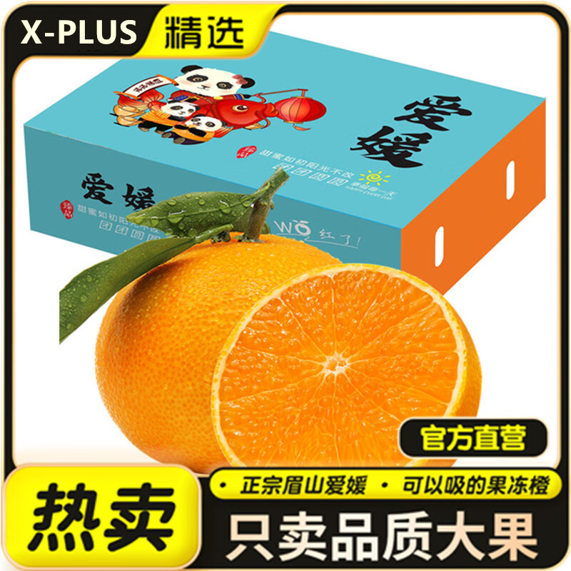 X-PLUS四川爱媛38号果冻橙 爆甜橘子 新鲜水果礼盒 5斤特优级（10-14粒）净重4.5斤