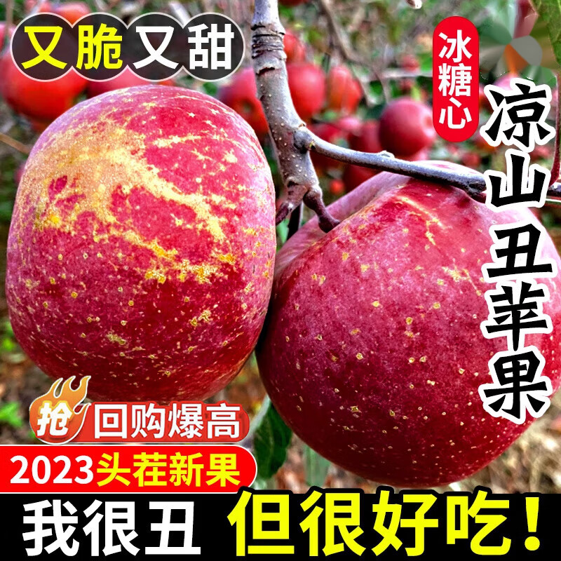 怎么看京东苹果历史价格曲线|苹果价格比较