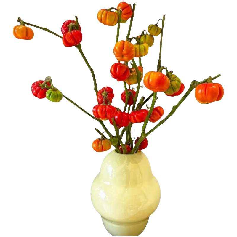 ڲСϹʻʺĻˮֲﻨڿɻ֦װκ ֦СϹ 30-40cm 4-6֦20.6Ԫ