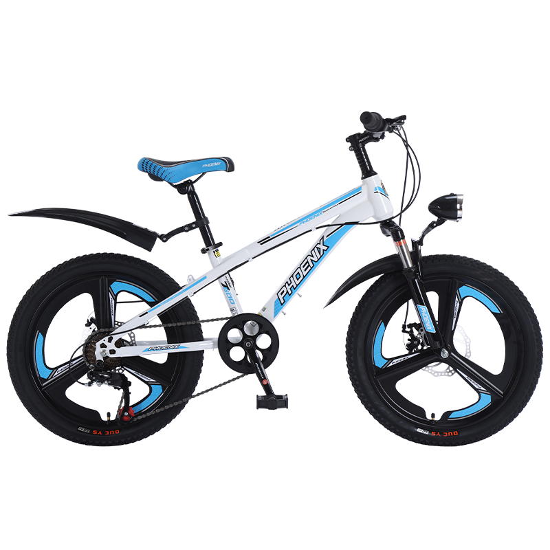 Phoenix/��� ��Խ���� ���� ��ͯ���г� 22��