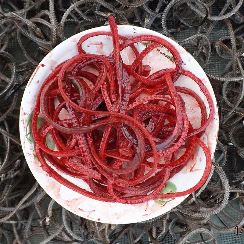 钢馋西瓜味的童话1斤冷链现杀活体生杀带血黄鳝骨新鲜长鱼骨鳝鱼骨血