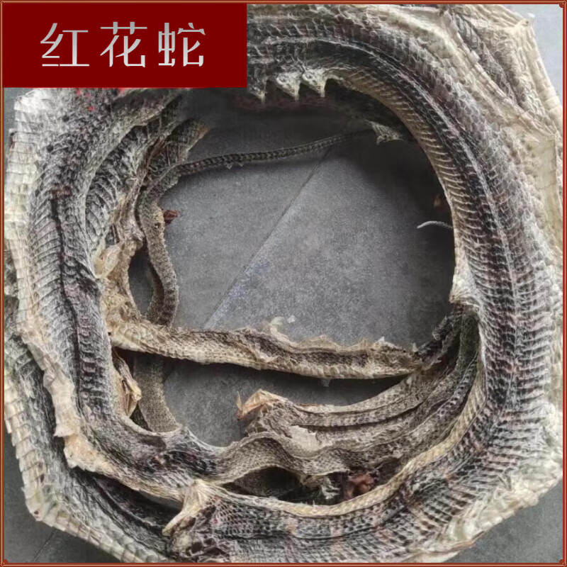 红花蛇中药材红花蛇红花子红蛇红斑蛇火赤莲红百节蛇赤i链蛇火链蛇