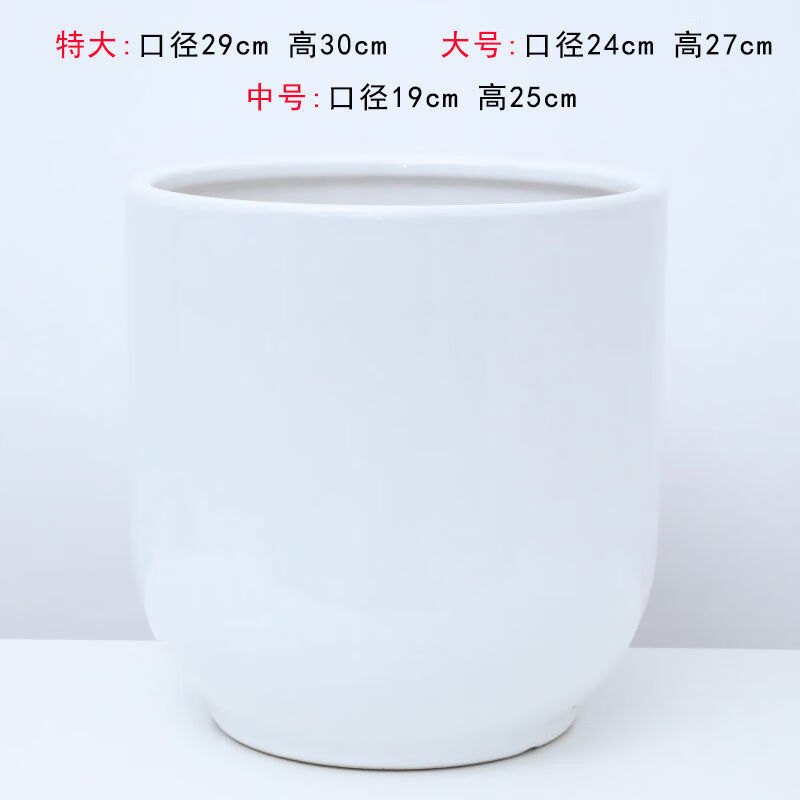 智宙金钱树花盆简约白色特大号陶瓷花盆种金钱树高筒落地室内客厅庭院