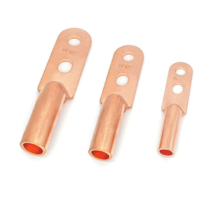 双孔铜鼻子铜接头国标25铜线鼻双眼25至400平方齐全电缆接头紫铜 dt