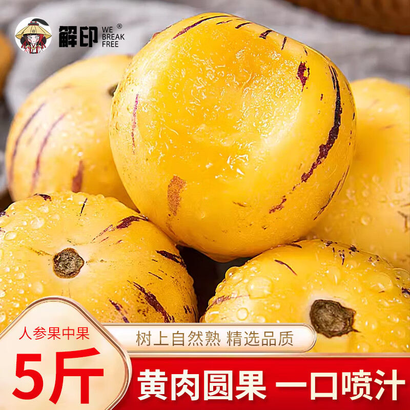 ��ӡ���������˲ι�Բ��������������ˮ�������и����ʴ������ 5�� �й�30-50g����i����Ʒ��