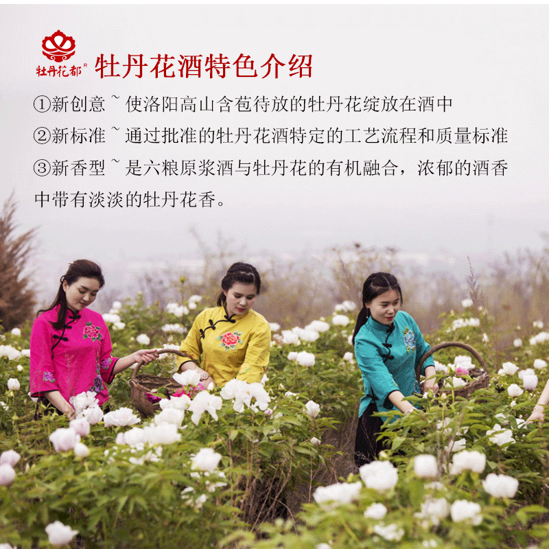 牡丹花都牡丹花酒500ml礼盒装特色洛阳特产送礼送领导高档礼品酒 46%vol 500mL 1瓶 +礼品袋