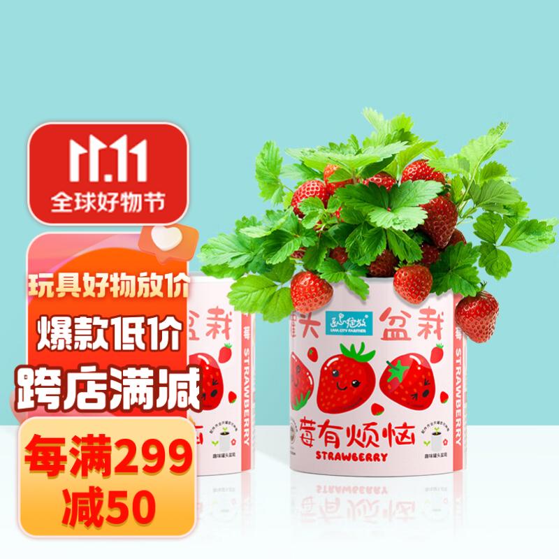 匠心绽放草莓 罐头盆栽莓有烦恼 儿童DIY趣味种植 男孩女孩玩具生日礼物高性价比高么？