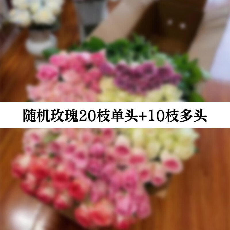 卉双玫瑰鲜花自由多头云南玫瑰直发基地玫瑰花速递花束泡泡鲜切花 【随机玫瑰】单头20枝+多头10枝 +高效保鲜剂