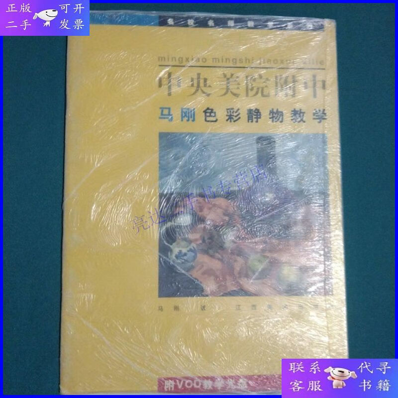 【二手9成新】中央美院附中马刚色彩静物教学