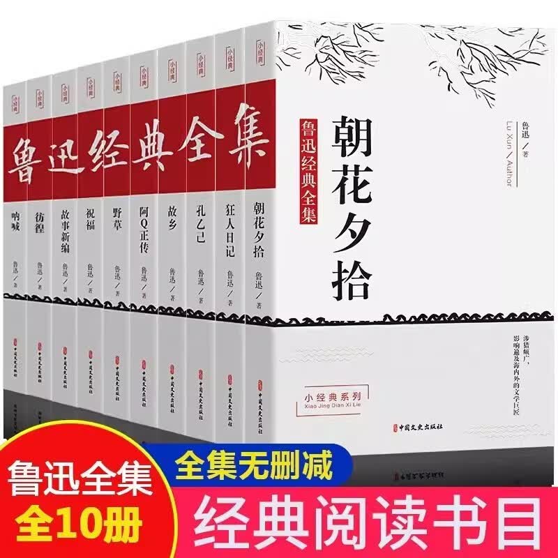 鲁迅经典全集全10册 中小学生课外阅读书籍 朝花夕拾狂人日记经典作品集杂文集 鲁迅原著正版全集