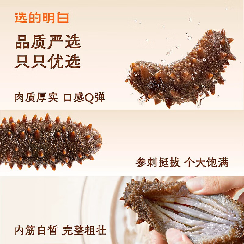 龙味福即食海参 大连鲜食海参开袋即食单个装 深海精品海参辽刺生鲜礼盒 超大号·【最肥厚】甄选鲜食海参 9-12头*1斤