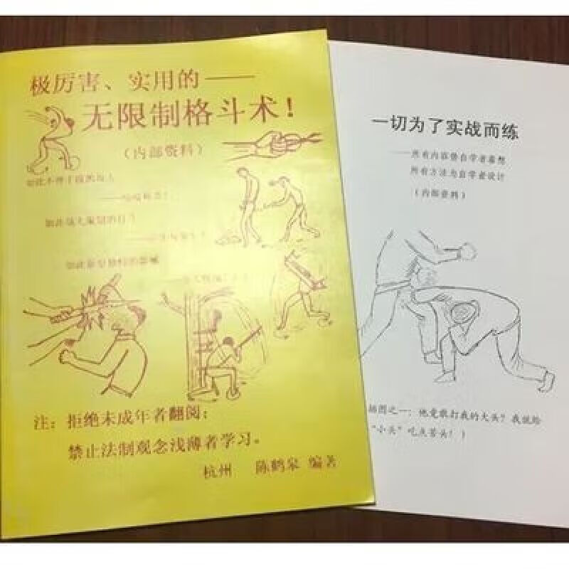 【现货速发】陈鹤皋极厉害实用的无限制格斗术为了实战而练2本武功武