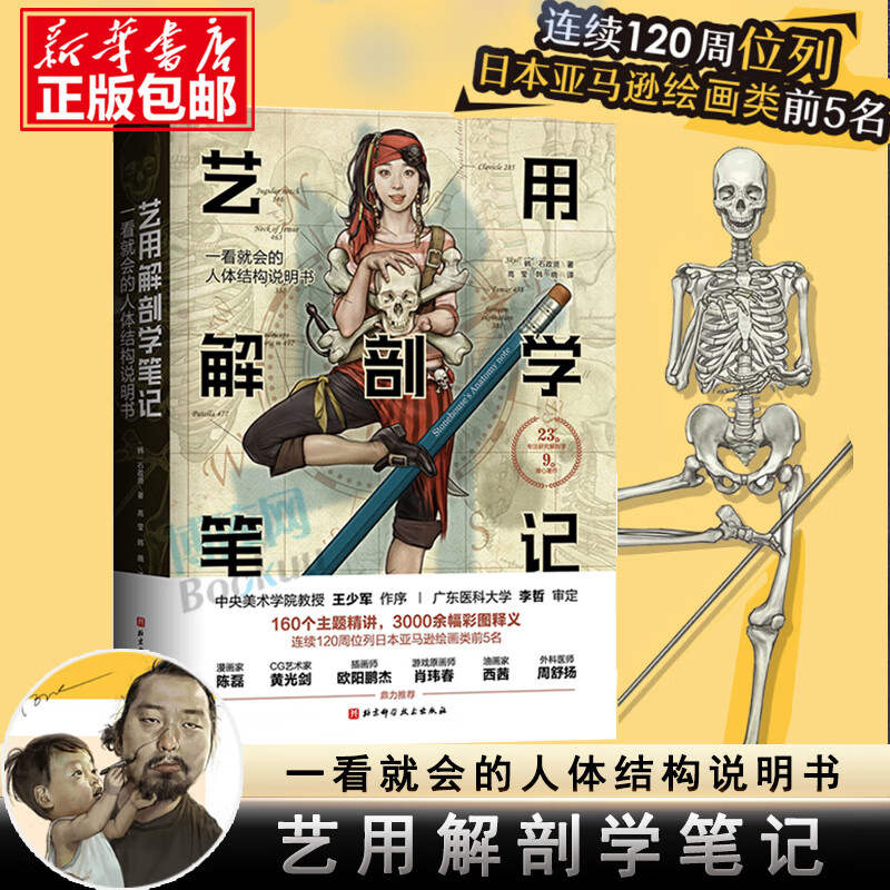 艺用解剖学笔记 艺术绘画理论人体结构素描教程 石政贤韩国 李哲