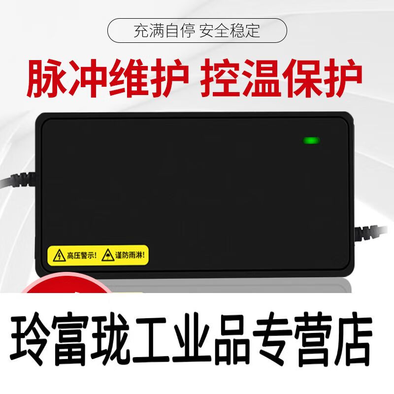 适用小鸟电动车充电器36v12a48v20ah60v20ah72v小鸟电瓶车充电器 48v
